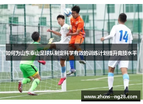 如何为山东泰山足球队制定科学有效的训练计划提升竞技水平